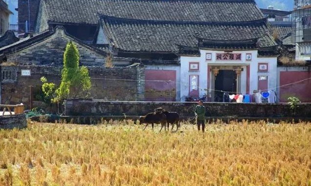 1523694149135029.jpg QQ截圖20180414164953.jpg